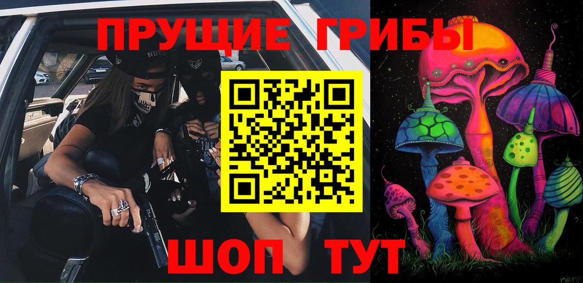 Галлюциногенные грибы Cubensis  Галлюциногенные грибы мухоморы  купить наркоту  Щёлково  Вход с VPN 