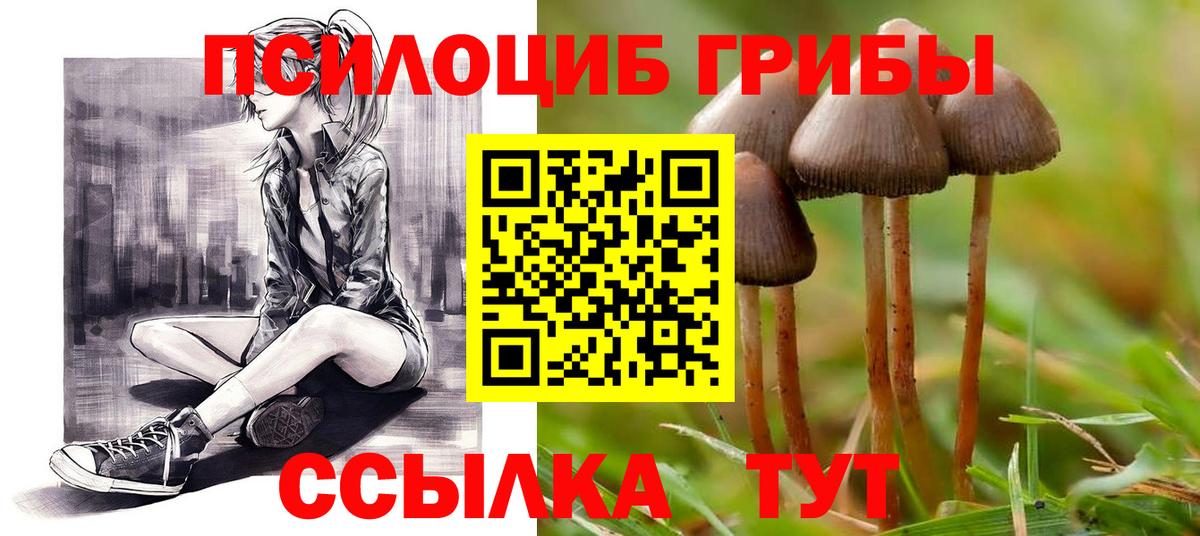 ГАШИШ Щёлково