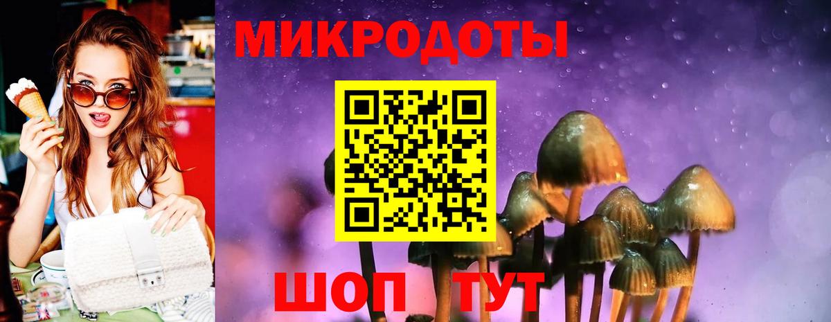 Галлюциногенные грибы мицелий Щёлково